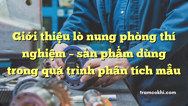 Giới thiệu lò nung phòng thí nghiệm – sản phẩm dùng trong quá trình phân tích mẫu