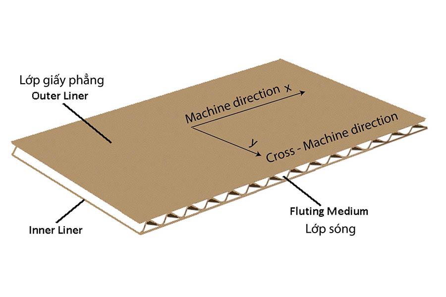 Phân Loại Giấy Carton Và Những Ứng Dụng Hằng Ngày